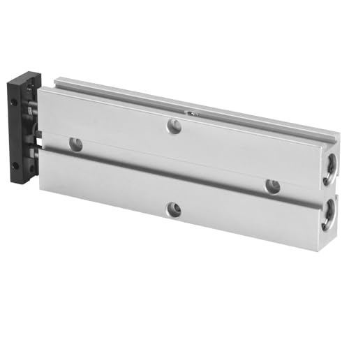 Heschen Doppeltwirkender pneumatischer Luftzylinder, TN10-60, Bohrung 10 mm, Doppelstab-Aluminium, mit Magnet, für die automatische Ausrüstung (Hub: 60 mm)