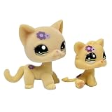 Gato flocado personalizado con gatito