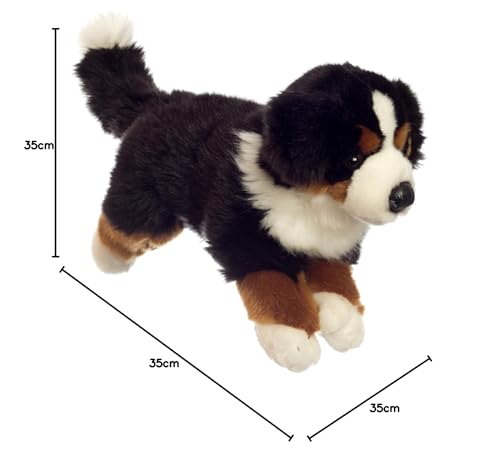 Leosco Berner Sennenhund 35 cm Plüschtier - Plüschhund Kuscheltier - TOY_FIGURE