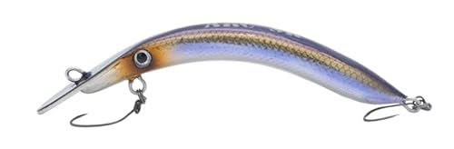 �A�e�B�b�N(Attic) ARC SR F �O���[���J�T�M