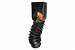 InvisaFlow Amerimax Home Products 4400 Downspout Filter, Black,