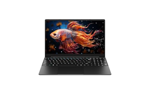 EYY 15.6インチノートPC 12GBメモリ 256GB SSD EYY ノートパソコン15.6型 メモリ12GB SSD 256GB N4000