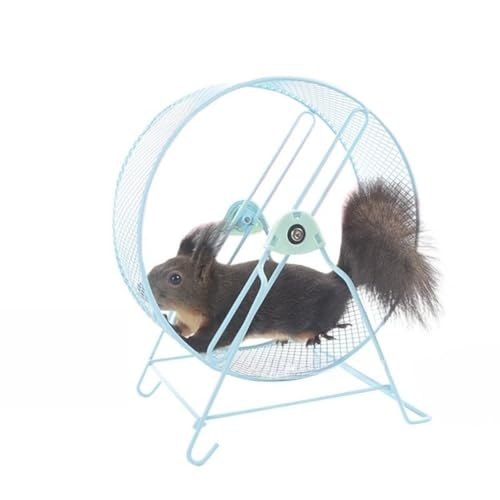 AOPIPI ybgpgbh~AA[CgzC[ATCgzC[AtbgAfUCA܂ȂAK܂ȂAnX^[jOXsi[AybgpWMO^ߋA₷A``AnlY~A``Aɍ