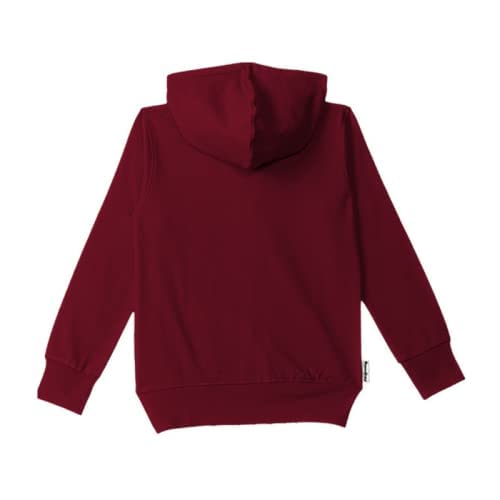 Image of Boy's Fleece Cotton Hoodies Sweatshirts (Pack of1)