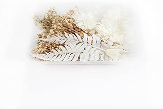 Tomedeks Natural Dried Flowers, Real Dried Embossing Mixes Variety of Dried Leaves Colorful DIY Resin Jewelry Nail Crafts Floral Decor for Scrapbooking (B)