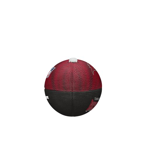 Image of WILSON Unisex NFL Team Tailgate Footballs