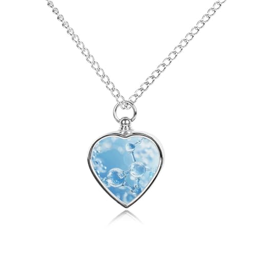 Collier urne funéraire chien et chat avec pendentif cœur pour cendres