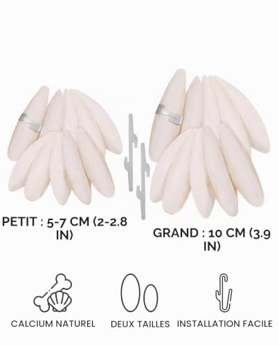 IPNSDON 10 os de seiche pour tortues, perruches, oiseaux et escargots - Accessoires, seiche pour tortues et oiseaux avec 2 supports métalliques, supplément naturel de calcium et de minéraux – vue 4