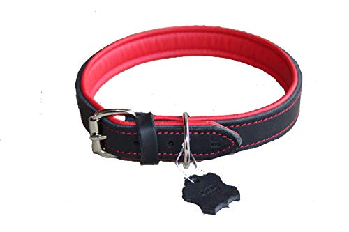 Activity4Dogs Luxus Hundehalsband aus Leder | für (mittel) große Hunde | 2,5 cm breit | gepolstert | 5-Fach verstellbar | Made in Germany | Echt-Leder Größe M1 schwarz-rot