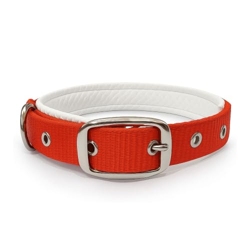 Image of Dog Collar with Padding | 01 Inch Width | Nylon Padded Collar | Easy to Clean | Best for Activities Like Walking, Training, Running and More