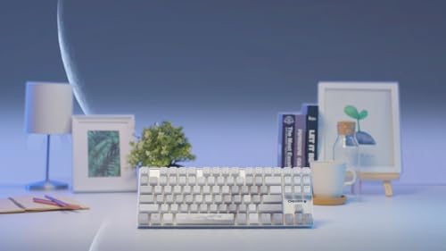 MX 8.2 TKL Wireless XAGA, Tastiera da Gioco Senza Fili Senza Tasto Numerico, Tedesco QWERTZ, Bluetooth, 2,4 GHz, Cavo, MX2A RED Switches, Bianco, XAGA - senza Valigia di Trasporto - Tastiera gaming - Immagine 2