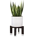 Gendral Forwepup Wood Plant Stand, Mid Century Modern Planter Stand Rattan Flower Pot Stand, Low Short Plant Stands Indoor - Boho Rustic Wooden Stool for Plant Pot Holder, Fit 5-15 Inch Pot