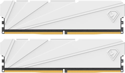 Netac DDR4 DRAM 32GB Kit16GBx2 C16 3200MHz XMP 2.0 Dual Channel RAM (PC4-25600) 1,35V 288 pinos atualizado, dissipador de calor de alumínio ideal para atualização de computador de jogos - Shadow S