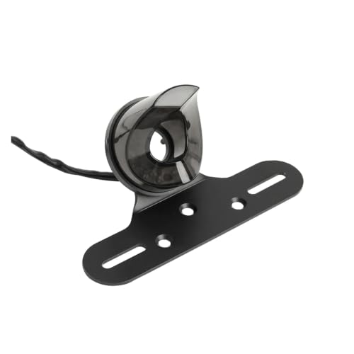 Feu arrière de moto à motif flamme pour personnaliser votre Harley Cruiser lors des rides