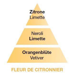 Lampe Berger Paris I - Profumo alla citronella, 500 ml, con brochure e Istruzioni (Lingua Italiana Non Garantita)