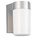 Sea Gull Lighting 8301-04 Single-Light Outdoor Wall Lantern with White Plastic Diffuser, Satin Aluminum