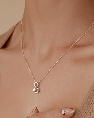 Mesovor Silver Initial Necklace for Women, Sterling Silver Plated Jewelry | Classic Letter Name Pendant Necklace with Rose Gold Heart, Gifts for family Mother Sister Wife, 20 Inch Chain - Image 5