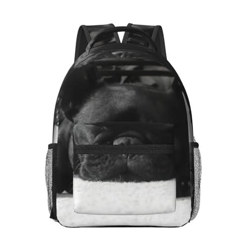 Sac à dos ordinateur portable bouledogue français EdWal fini les douleurs au dos au travail