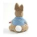 GUND Beatrix Potter Animated Peek-a-Boo Peter Rabbit Sound and Motion Plush Stuffed Animal, 10