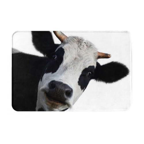 ���̏ё��� ������� �J�[�y�b�g ���O�}�b�g ���փ}�b�g ���O �O�~ �l�G�ʗp �h�_�j �R�� �h�L �􂦂� �ӂ�ӂ픧�G�� ����~�߃z�b�g�J�[�y�b�g �A�j�� �O�b�Y �L�����N�^�[ �v���[���g 40×60cm