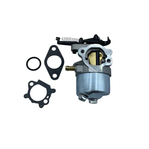 Carburateur 591852 contre fuite d'essence et fumée noire de moteur 590834