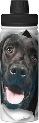  uh[Ego[   ^fM ۉ ۗ X|[c{g lC XeX{g X|[cΉ RȂ 530ml j̎q ̎q  l q Aj ObY LN^[ v[g MJ30