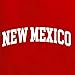 State of New Mexico College Style White Fashion Unisex Boys Girls Crewneck Graphic Sweatshirt, Red, Medium