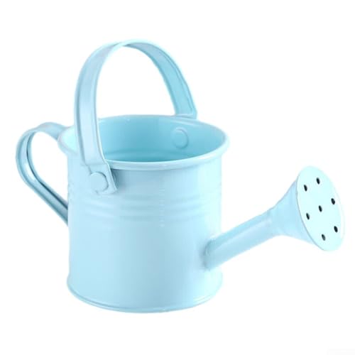 Bulevisiter Regadera de metal de boca larga para jardín, hervidor de flores pequeñas, para interiores y exteriores, reutilizable, 1 L, regadera compacta, aspersor de plantas, cuidado de bonsáis (azul