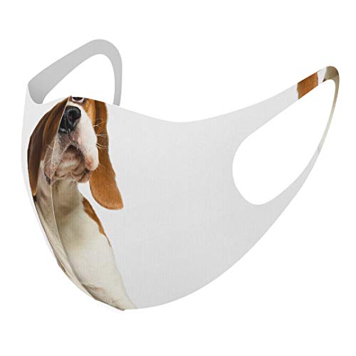 [�X�}�R��] �f�U�C�� �}�X�N �Q���Z�b�g �|���G�X�e�� �􂦂� �z�}�X�N XL�T�C�Y �傫�� �j���p 001147 �� �r�[�O��