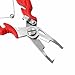 Chiffonade 2 Pack Stainless Steel Fishing Pliers - Multi-Function Hook Remover Split Ring Opener Fishing Tools for Saltwater/Freshwater Fishing(Red)