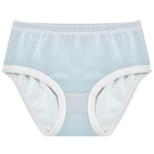 Joisal Artistic Girls Underwear Toddlers 2t Cotton Cute Panties Girl Magnolia Powder Blue Gradient Undies Kids Briefs