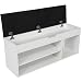 FTVOGUE Scarpiera Panca Scarpiera con Cuscino del Sedile Scarpiera da Ingresso Comoda scarpiera per la casa 103,5 x 29,4 cm(#0, 1)