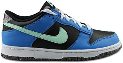 dunk low junior