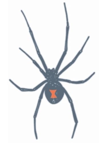 Tinsley Transfers Black Widow Prison Temporary FX Tattoo, Black/White/Red
