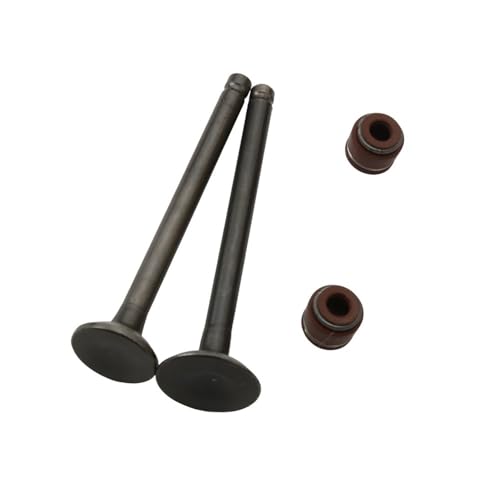 Pièces de moteur de moto CD50 139FMB 4T kit soupapes C50 rechange