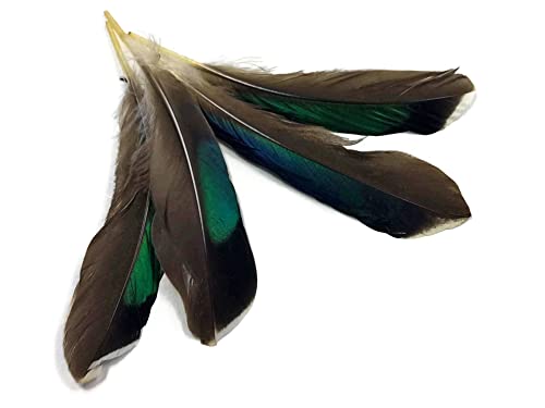 10 Pieces - Iridescent Green Mallard Duck Wing Feathers Halloween Craft Supply | Moonlight Feather #TOP3