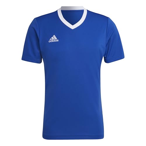 adidas Men's Entrada 22 Jersey, Royal Blue, L