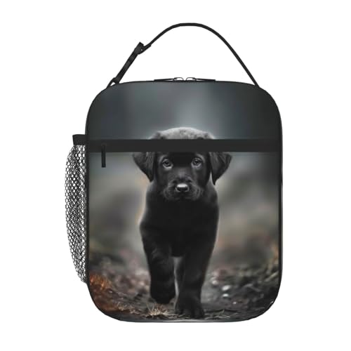 SARA NELL Dog Insulated Lunch Bag