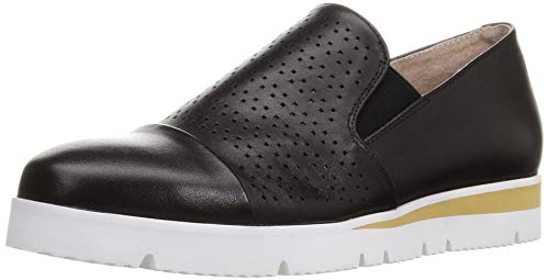 [T@T@] Xj[J[u[c 2420027 fB[X ubN 24.0 cm