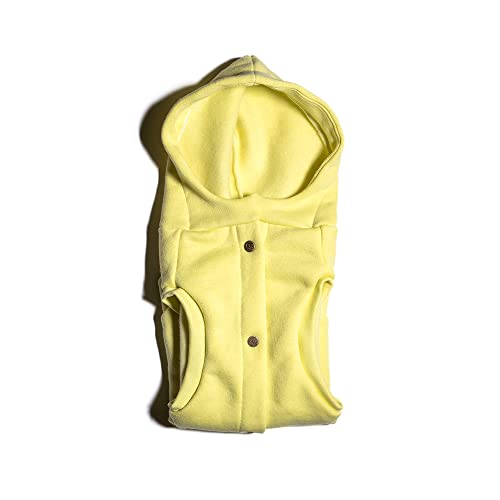 Moletom para Cachorro Vento Sul (GG, Melão)