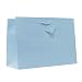 Allgala 12PK Value Premium Solid Color Paper Gift Bags (16
