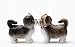 Pacific Giftware Sweet Shih Tzus Salt & Pepper Shaker Set S/P
