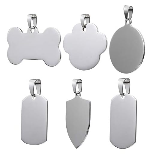 POPETPOP 6St Rostfritt Stål Hund Tag Diy Husdjur Tag Tag Halsband Husdjur Telefonnummer Anti Förlorade Charm Kort Silver För Hund Personlig Olika Former Graverad Krage Hänge Tillbehör