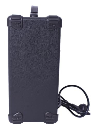 Amplificador para Guitarrra YX-15W 15W 6,5