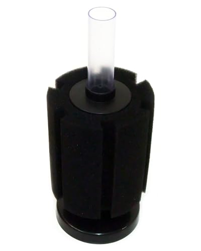 WAIWAIGOODS ANAE  p oCI X|WtB^[ XY-2811 S Zbg