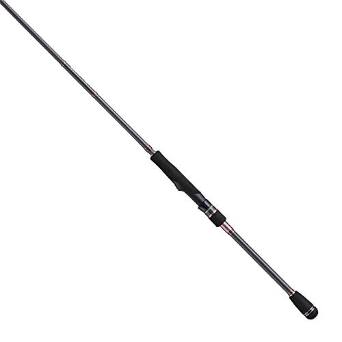 tailwalk Bay Boater S68ML canne Salty Shape Boat Game légère action ML pour lancer en mer