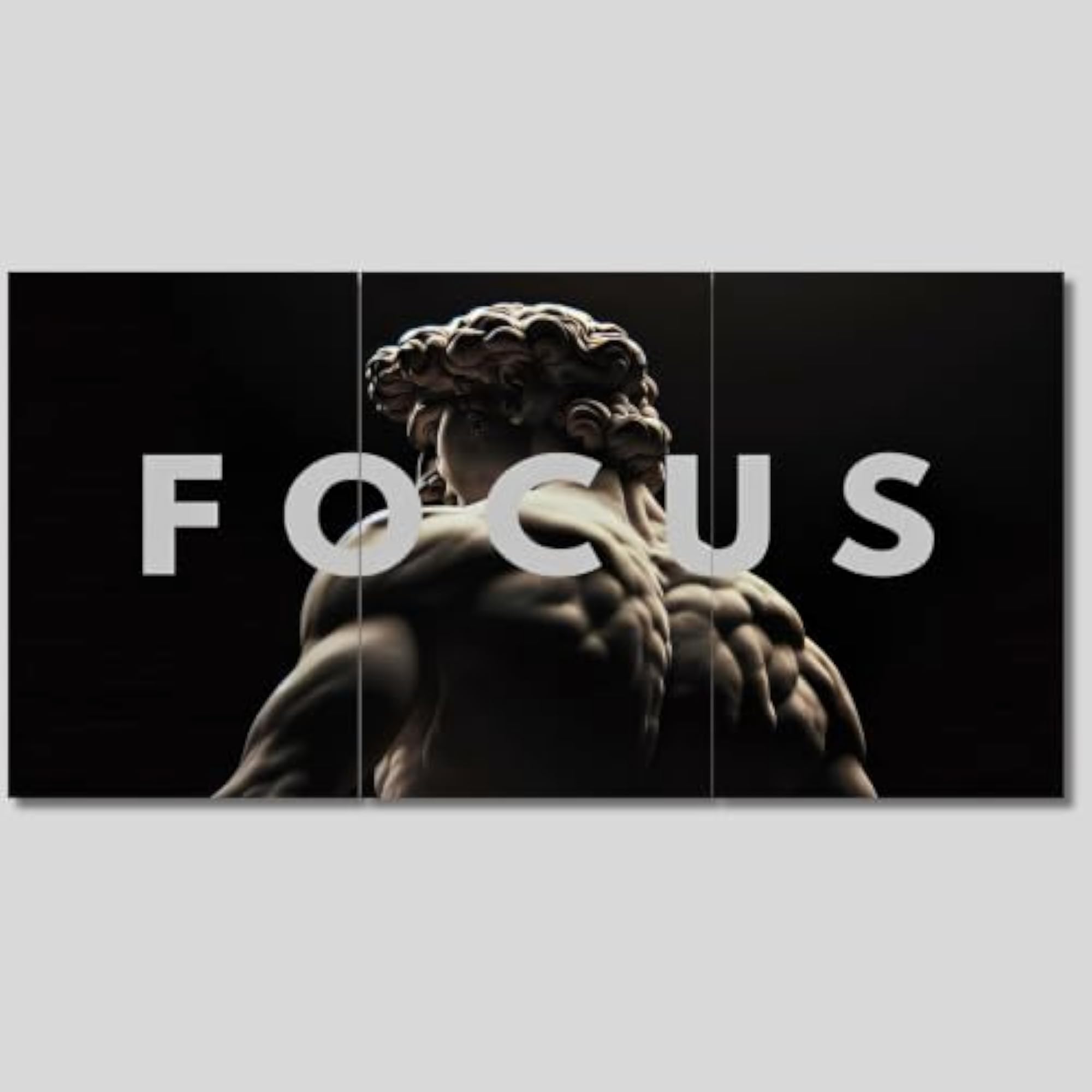 FOCUS Motivational Split Poster Set of 3