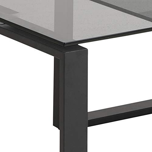 Amazon Brand - Some coffee table set, Smoke Stained Glass Table Top and Black Metal Base