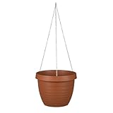 Scheurich Hängeampel 'Country Star', terrakotta, ca. 19 x Ø 24 cm