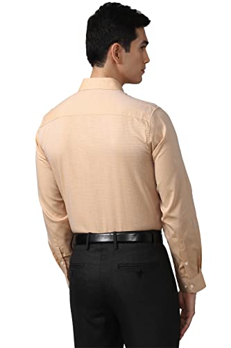 Image of Peter England Men Shirt